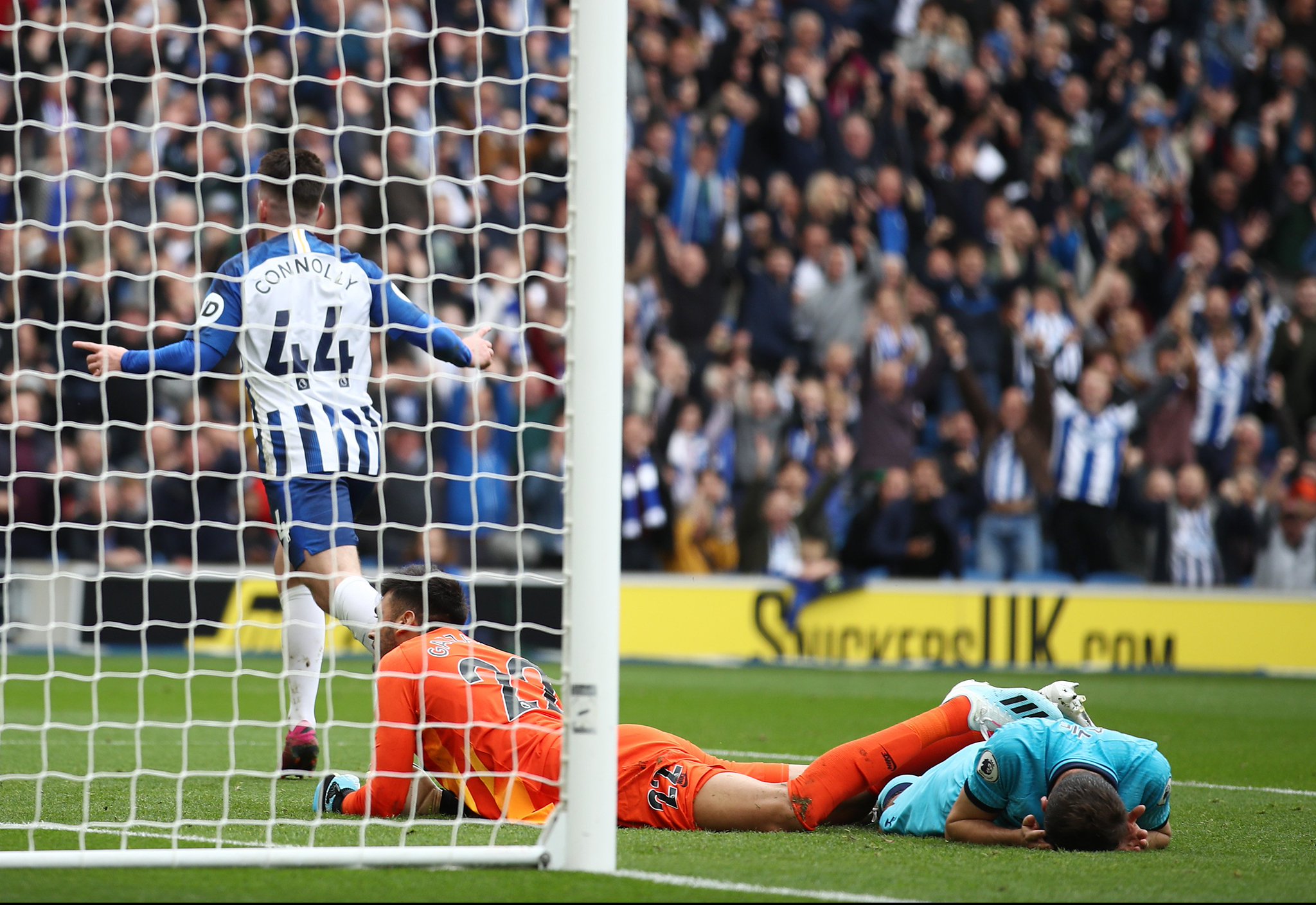 攻性和活力 攻性和活力